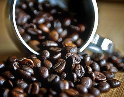 Giá cà phê tăng trở lại vào cuối tuần, lên 36 triệu đồng/tấn